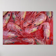 Prawns of British Columbia, Canada texture Print
