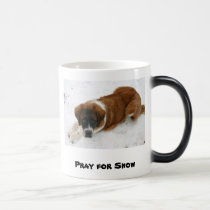 Pray for Snow Mug mugs