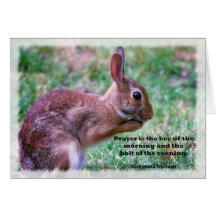 Praying Bunny Cards
