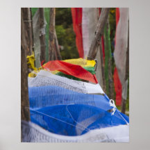 Praying flag poles in mountain, Yotongla Pass 3 Print