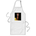 praying mantis apron