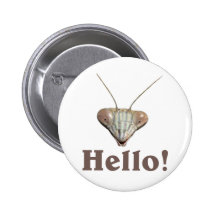 Praying Mantis Hello Pinback Button