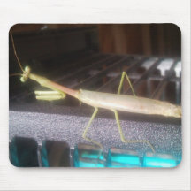 Praying Mantis Mousepad
