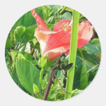 Praying Mantis Round Sticker