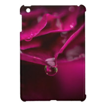 Precarious iPad Mini Case