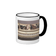 Precious Cats, Kittens Cards, Gifts -  Customise! Coffee Mug