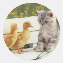Precious Cats, Kittens Cards, Gifts -  Customise! Round Sticker