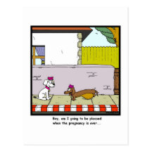 Pregnancy Post Card