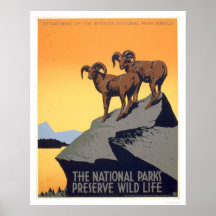 Preserve Wild Life 1939 WPA Posters