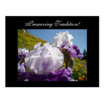 Preserving Traditions! postcards Iris Flowers