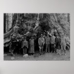 President Roosevelt and John Muir California 1903 Poster