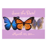 Pretty Butterfly Announcements