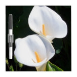 Pretty Calla Lilies Dry-Erase Board