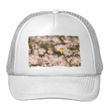Pretty Field of Daisies Mesh Hats
