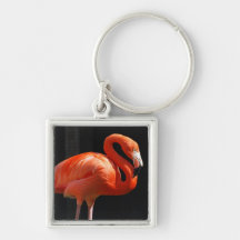 Pretty Flamingo Key Chain