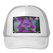 Pretty Foxglove Baseball Hat