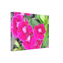 Pretty In Pink Flowers Gallery Wrapped Canvas