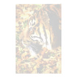 pretty kitty customized stationery