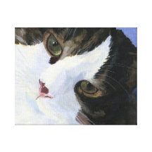 Pretty Kitty Stretched Canvas Prints