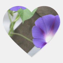 Pretty Morning Glories Heart Sticker