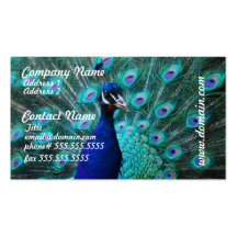Pretty Peacock Business Card