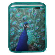 Pretty Peacock iPad Sleeve
