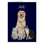 Pretty Pets Note Card