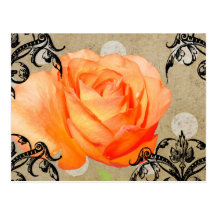Pretty Rose Postcard