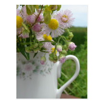 Pretty Weeds in a Teacup Post Cards