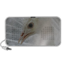Pretty White Peacock Speakers