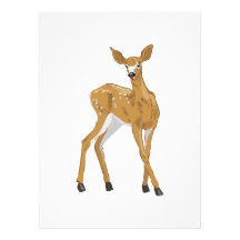 pretty white-tailed baby deer standing invitations