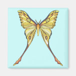 Pretty Yellow Butterfly Magnets