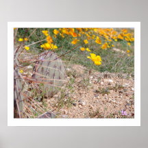 Prickley Pear Cactus & Poppy Print