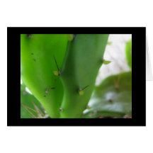 Prickly Pear1 Card