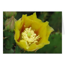 Prickly Pear Cactus Bloom Greeting Card