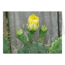 Prickly Pear Cactus Bloom Greeting Cards