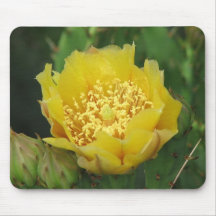 Prickly Pear Cactus Bloom Mouse Mats