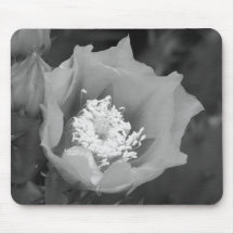 Prickly Pear Cactus Bloom Mouse Pad