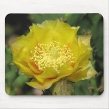 Prickly Pear Cactus Bloom Mouse Pads