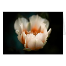 Prickly Pear Cactus blossom Greeting Card