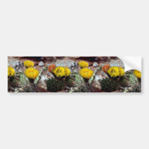 Prickly Pear Cactus Bumper Sticker