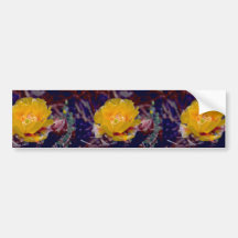 Prickly Pear Cactus Bumper Stickers
