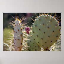 Prickly Pear Cactus Print