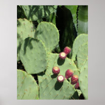 Prickly pears, print