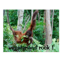 Primate Vegetarians Rock ! Post Cards