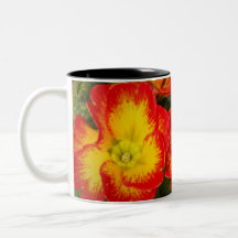 Primrose Mugs