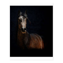 Prince of Darkness Post Card