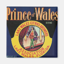 prince of wales magnet