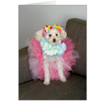 Princess Chloe Greeting Cards