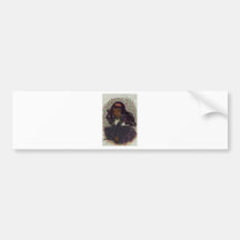 Princess of Roses Bumper Sticker